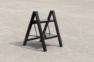 BANTREK Outdoors Two-Step Ladder