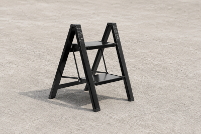 BANTREK Outdoors Two-Step Ladder